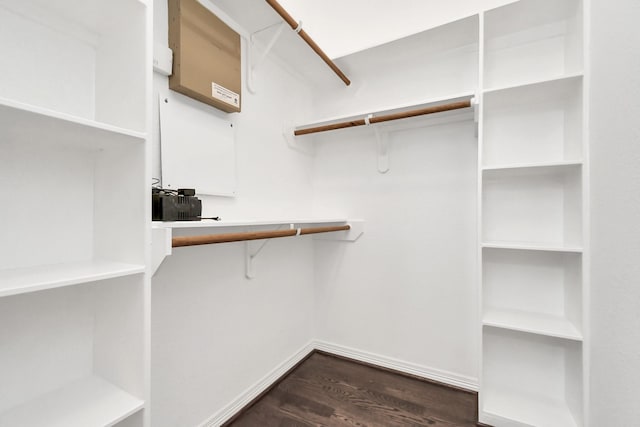 spacious closet featuring dark hardwood / wood-style flooring