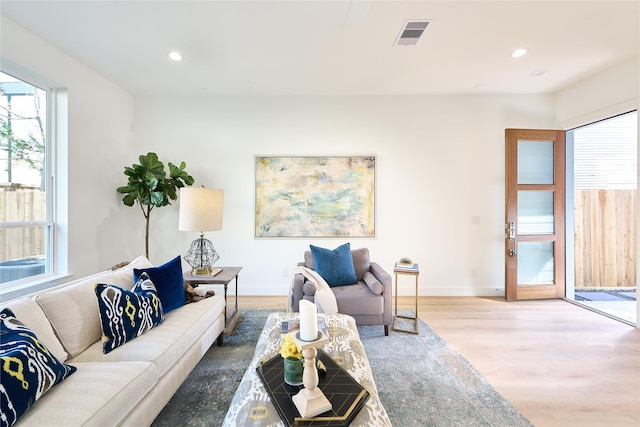 living room with wood-type flooring