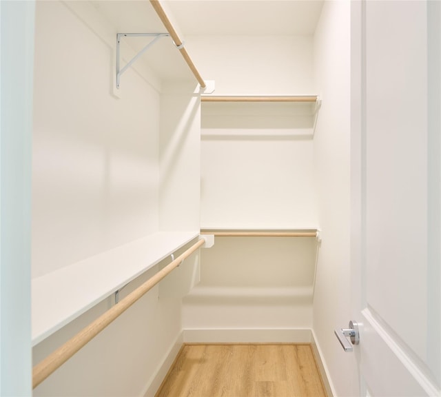 spacious closet featuring wood-type flooring