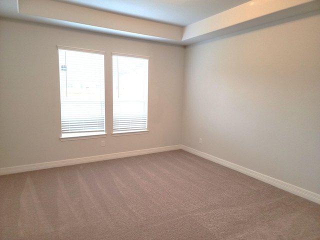 spare room with carpet floors