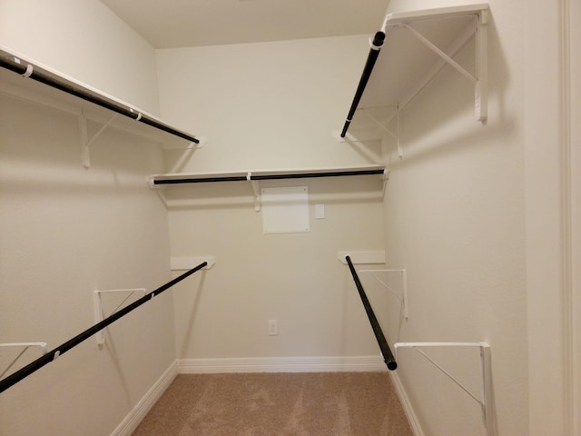 walk in closet featuring light carpet