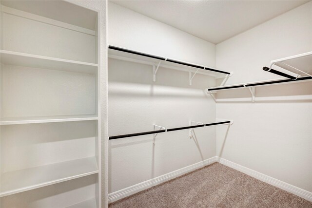 spacious closet featuring carpet flooring