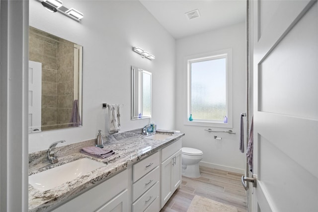 bathroom with toilet and vanity