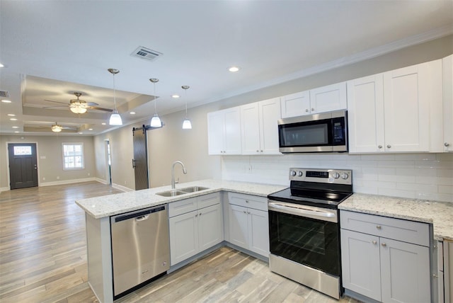 kitchen with white cabinets, appliances with stainless steel finishes, sink, a raised ceiling, and a barn door