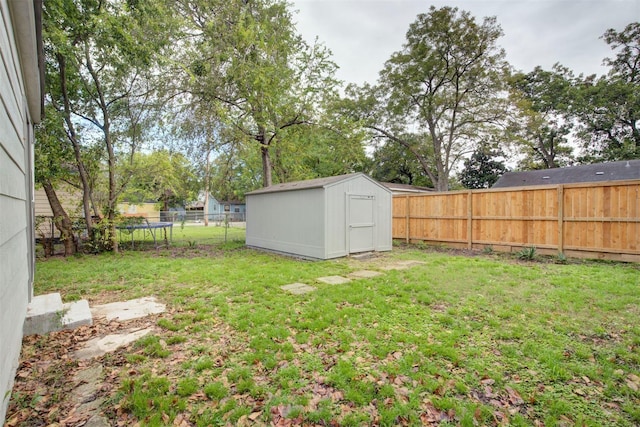 view of yard with a shed and a trampoline