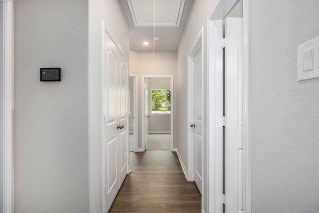 hall featuring dark hardwood / wood-style flooring