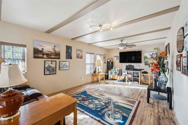 living room with hardwood / wood-style floors and ceiling fan