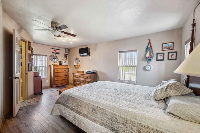 bedroom with multiple windows, a textured ceiling, dark hardwood / wood-style floors, and ceiling fan