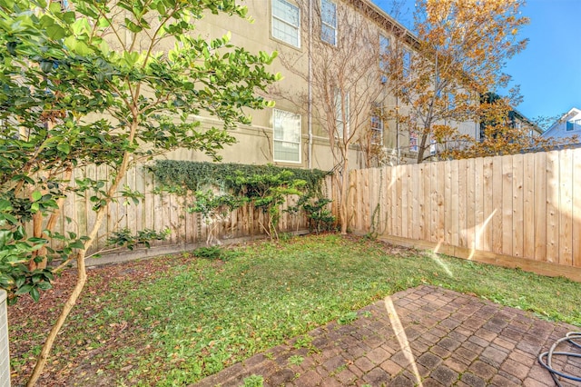 view of yard featuring a patio area