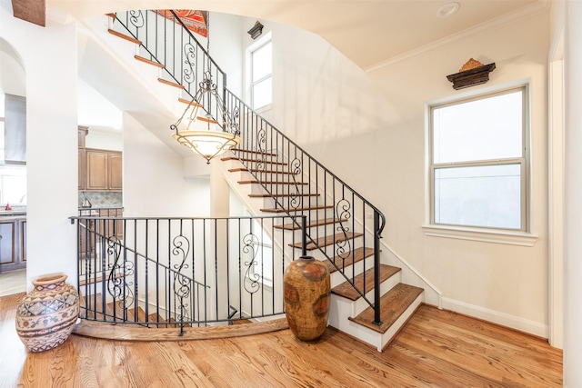 stairs with hardwood / wood-style floors and ornamental molding