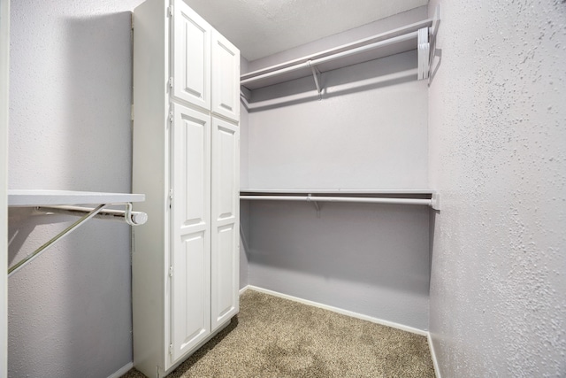 walk in closet featuring carpet floors