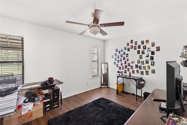 office area featuring ceiling fan and dark hardwood / wood-style flooring