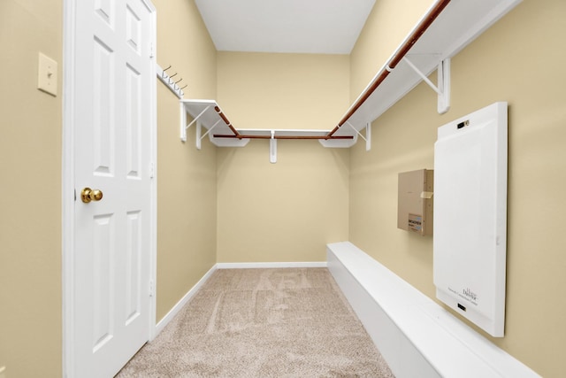 walk in closet with light colored carpet