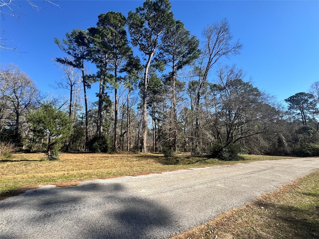 Listing photo 2 for TBD Linda Chain, Livingston TX 77351