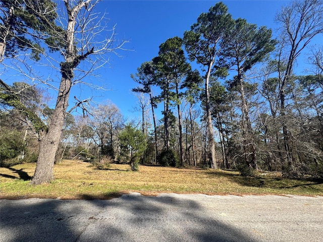 Listing photo 3 for TBD Linda Chain, Livingston TX 77351