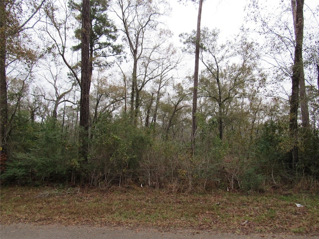 0 Pinebrook Dr, New Caney TX, 77357 land for sale