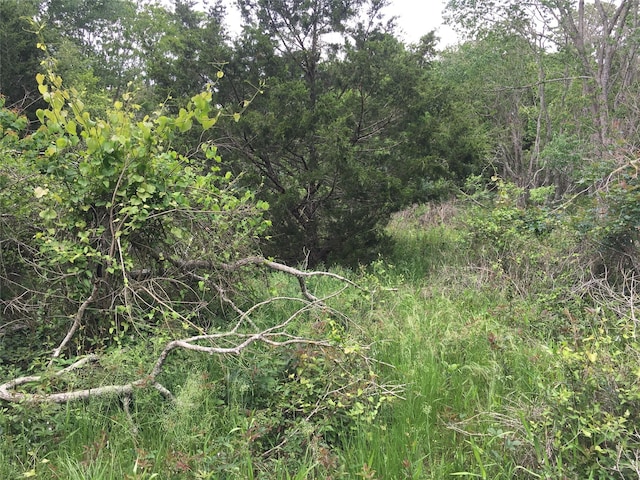 0 Donoho St, Hempstead TX, 77445 land for sale