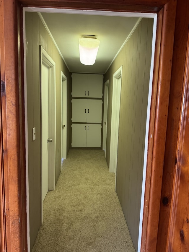 hall with crown molding, wooden walls, and light carpet