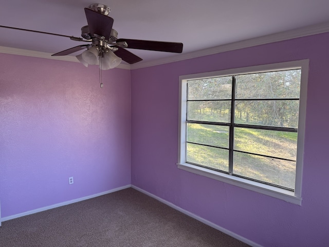 empty room featuring crown molding and carpet flooring