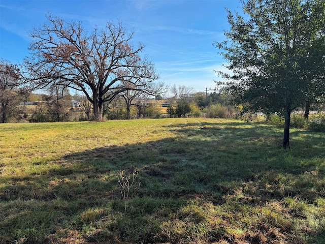 view of yard with a rural view