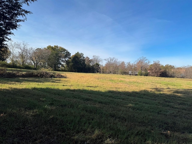 view of yard with a rural view