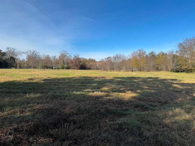 view of yard with a rural view