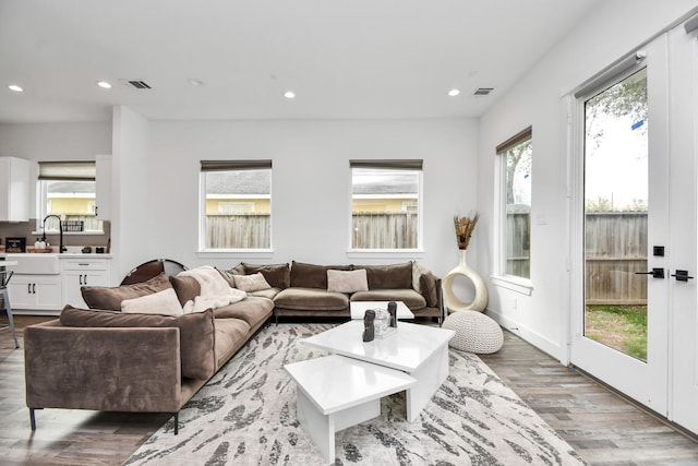 living room featuring sink and hardwood / wood-style floors