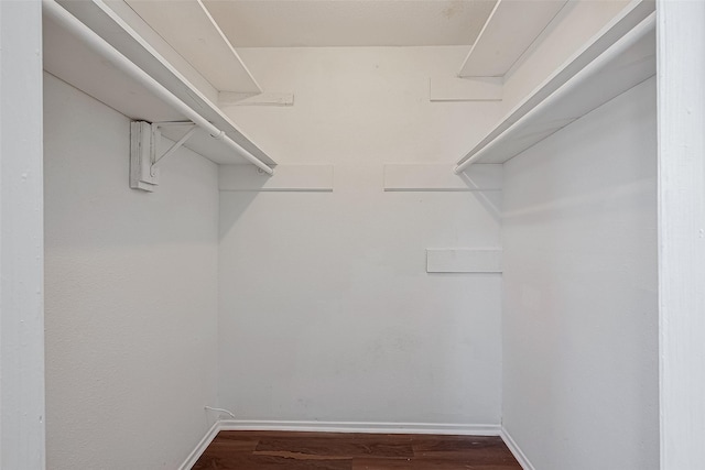 walk in closet featuring dark hardwood / wood-style flooring