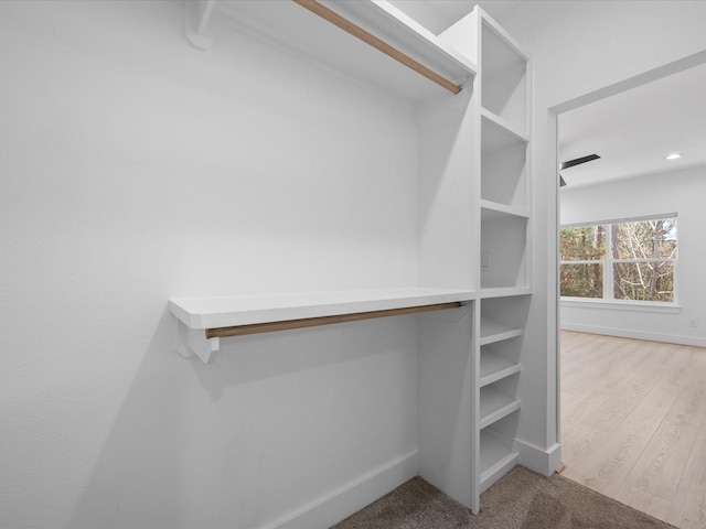 spacious closet with light colored carpet