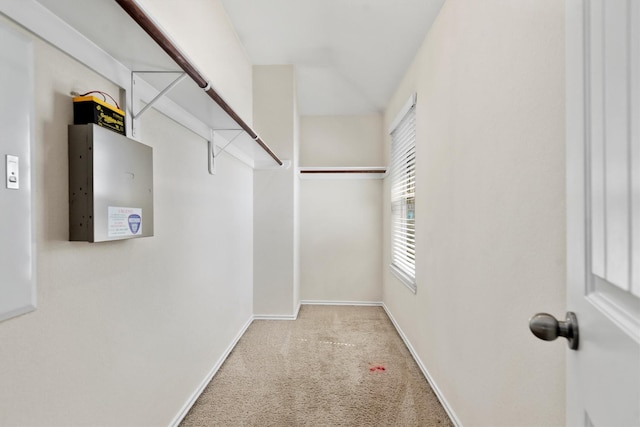 spacious closet with light carpet