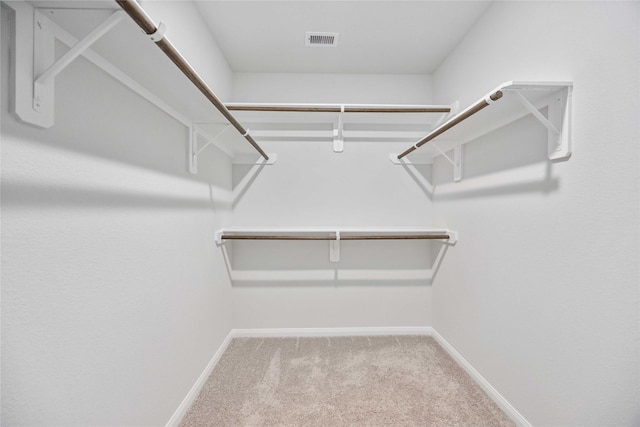 spacious closet featuring carpet flooring