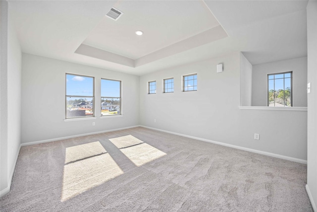 carpeted spare room featuring a tray ceiling and plenty of natural light