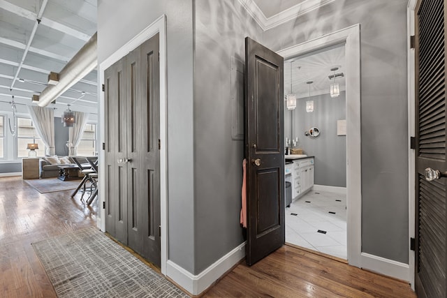 hall featuring crown molding and wood-type flooring