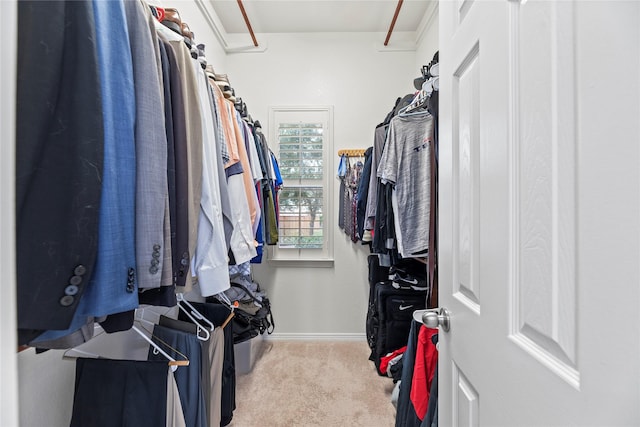 spacious closet featuring light colored carpet