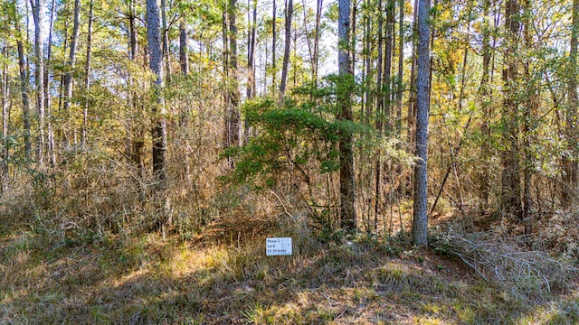 038 Sportsman Retreat Rd, Onalaska, TX 77360 - photo 9