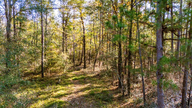 038 Sportsman Retreat Rd, Onalaska, TX 77360 - photo 10