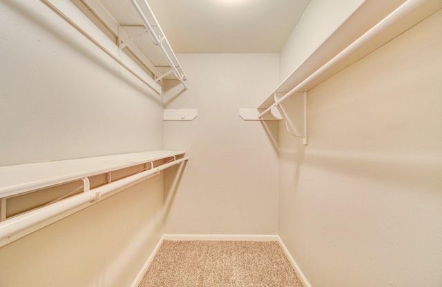 spacious closet with light colored carpet