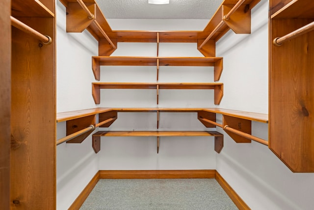 spacious closet with light carpet