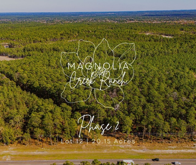 0212 Fm 3459th Rd, Onalaska, TX 77360 - photo 1