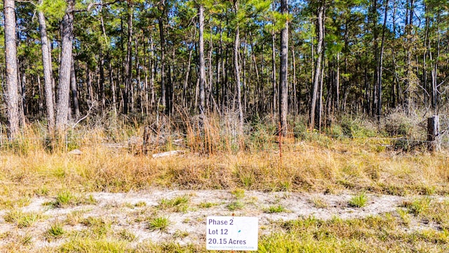 0212 Fm 3459th Rd, Onalaska, TX 77360 - photo 5
