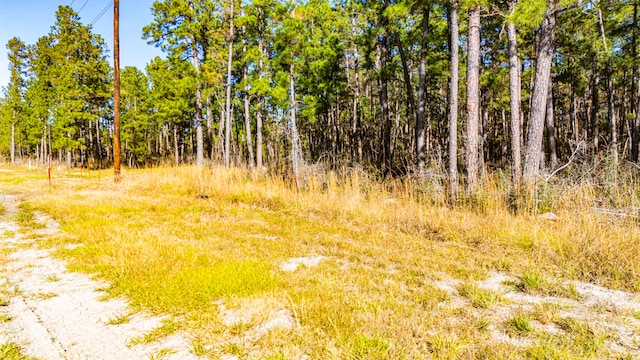 0212 Fm 3459th Rd, Onalaska, TX 77360 - photo 7