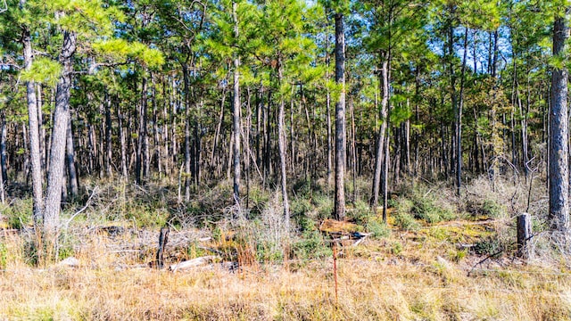 0212 Fm 3459th Rd, Onalaska, TX 77360 - photo 8