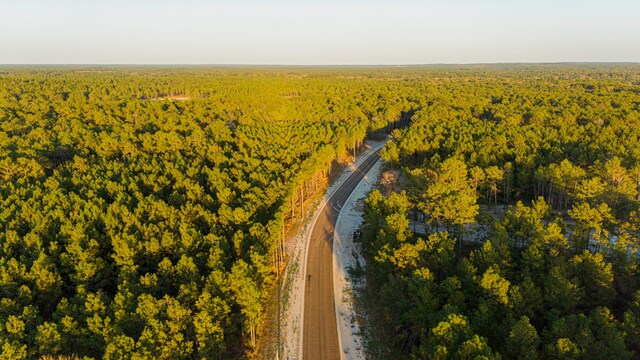 0212 Fm 3459th Rd, Onalaska, TX 77360 - photo 14