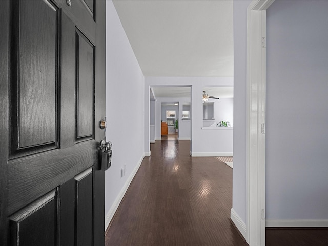 hall featuring dark wood-type flooring