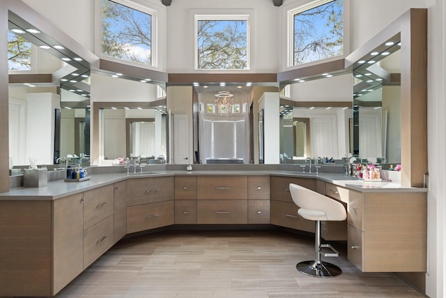 bathroom featuring vanity and a high ceiling