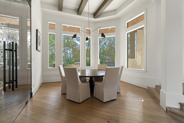 dining room featuring wood-type flooring and beam ceiling