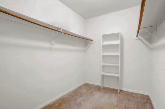 spacious closet with light colored carpet