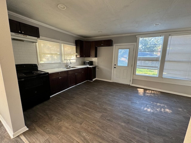 kitchen with sink, electric range, crown molding, dark wood-type flooring, and a textured ceiling