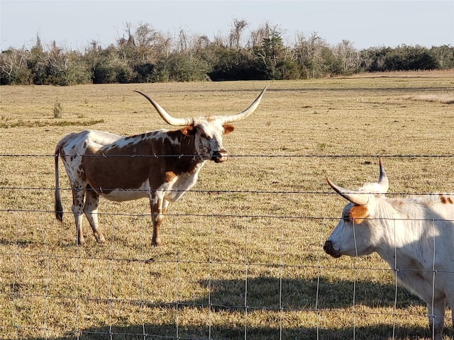 8500 Fm-2004, Hitchcock, TX 77563 - photo 2
