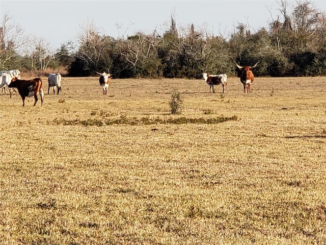 8500 Fm-2004, Hitchcock, TX 77563 - photo 3